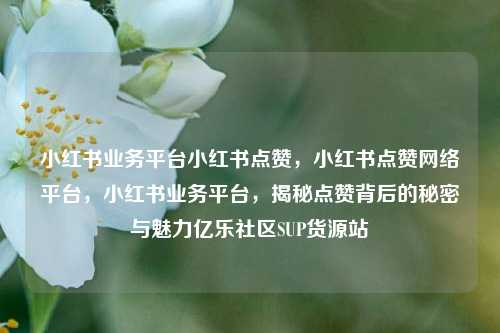 小红书业务平台小红书点赞	，小红书点赞网络平台，小红书业务平台，揭秘点赞背后的秘密与魅力亿乐社区SUP货源站  第1张
