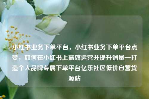 小红书业务下单平台	，小红书业务下单平台点赞，如何在小红书上高效运营并提升销量—打造个人品牌专属下单平台亿乐社区低价自营货源站  第1张