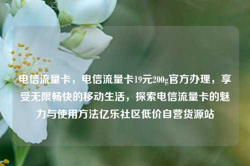 电信流量卡	，电信流量卡19元200g官方办理，享受无限畅快的移动生活，探索电信流量卡的魅力与使用方法亿乐社区低价自营货源站  第1张