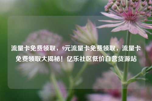 流量卡免费领取，9元流量卡免费领取	，流量卡免费领取大揭秘！亿乐社区低价自营货源站  第1张