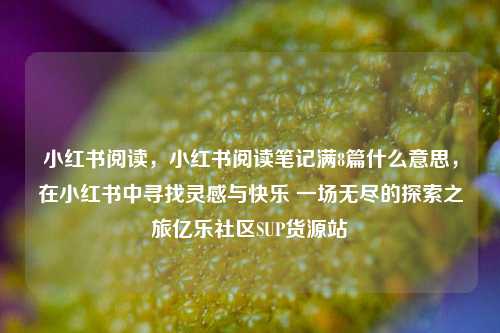 小红书阅读，小红书阅读笔记满8篇什么意思	，在小红书中寻找灵感与快乐 一场无尽的探索之旅亿乐社区SUP货源站  第1张