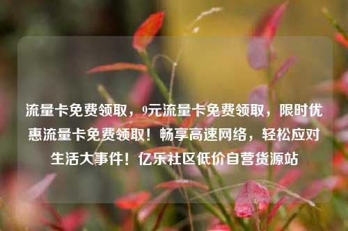 流量卡免费领取，9元流量卡免费领取，限时优惠流量卡免费领取！畅享高速网络	，轻松应对生活大事件！亿乐社区低价自营货源站  第1张