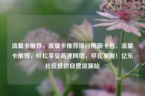 流量卡推荐，流量卡推荐排行榜前十名，流量卡推荐	，轻松享受高速网络，尽在掌握！亿乐社区低价自营货源站  第1张