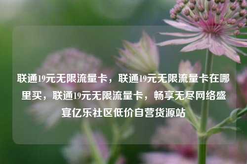 联通19元无限流量卡	，联通19元无限流量卡在哪里买，联通19元无限流量卡，畅享无尽网络盛宴亿乐社区低价自营货源站  第1张