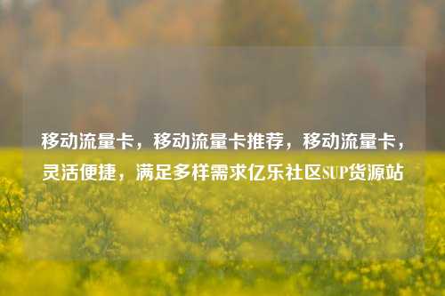 移动流量卡，移动流量卡推荐，移动流量卡	，灵活便捷，满足多样需求亿乐社区SUP货源站  第1张