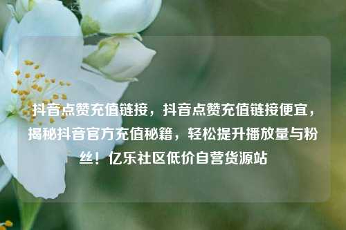 抖音点赞充值链接	，抖音点赞充值链接便宜，揭秘抖音官方充值秘籍，轻松提升播放量与粉丝！亿乐社区低价自营货源站  第1张