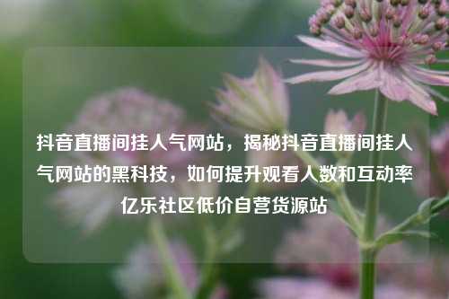 抖音直播间挂人气网站，揭秘抖音直播间挂人气网站的黑科技，如何提升观看人数和互动率亿乐社区低价自营货源站  第1张